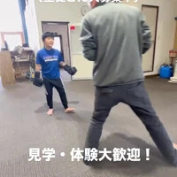 画像288