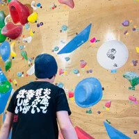画像296