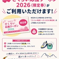 画像425